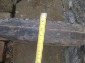 IMG_20201221_115849.jpg