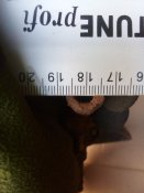 IMG_20201221_151130.jpg