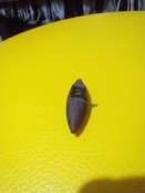 IMG_20201223_180331.jpg