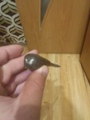 Отвёртка из леса