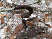20201223_092005[1].jpg