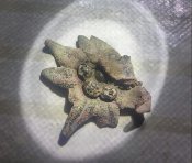 20201224_181714_HDR-1.jpg