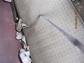 IMG_0019.JPG