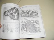 книга"Драго-Саси на тлі століть"М.Терлецький.2008р.
