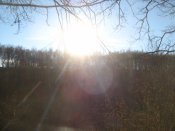 IMG_1826.JPG