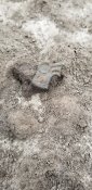 20201224_135940.jpg