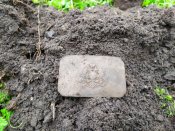 IMG_20201221_092106.jpg
