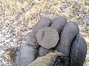 IMG_20201221_131931.jpg