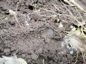 IMG_20201221_134727.jpg