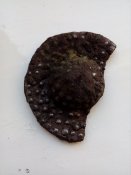IMG_20201227_100213.jpg