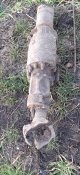 20201227_154737.jpg