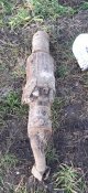 20201227_154717.jpg