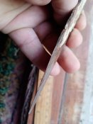 IMG_20201227_083659.jpg
