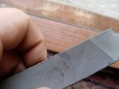 IMG_20201227_083603.jpg