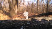 IMG_20191121_122031.jpg