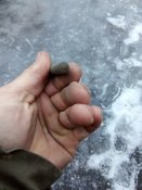 IMG_20201229_075903.jpg