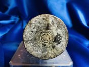 37mm Aeracobra. Rare!