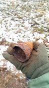 IMG_20201226_151520.jpg