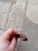 IMG_20201230_124751.jpg