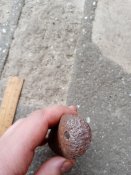 IMG_20201230_124835.jpg