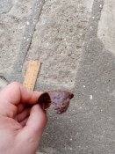 IMG_20201230_124855.jpg