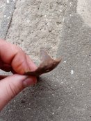 IMG_20201230_124912.jpg