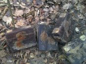 IMG_20201230_112201.jpg