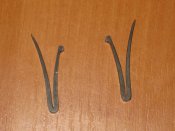 IMG_7425.JPG