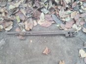 IMG_20201202_102701.jpg