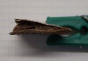 20201231_100421[1].jpg