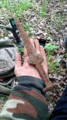20201231_131525.jpg