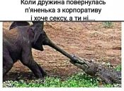 изображение_viber_2021-01-01_23-14-01.jpg