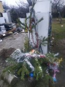 IMG_20201229_151937.jpg
