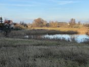 IMG_13.jpeg