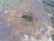 DSCN4985.JPG