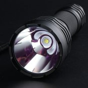 201271_1.jpg