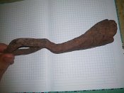 IMG_20201225_121735.jpg
