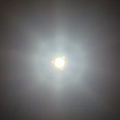 6CB31A2A-5DFF-4A19-8893-80705C47941C.jpeg