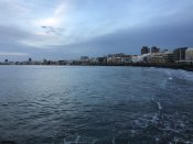 9426BF86-D872-4EDF-B283-D11B4765726D.jpeg