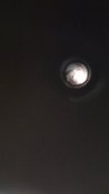 IMG_20210106_110428.jpg