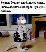 изображение_viber_2021-01-06_13-55-50.jpg