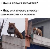 изображение_viber_2021-01-07_00-12-29.jpg