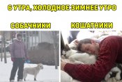 изображение_viber_2021-01-07_00-12-32.jpg