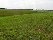 IMG_4005.jpg