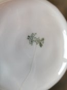 Антуражная немецкая пепельница на войну с рекламой сигарет