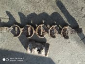 IMG_20210109_105122.jpg