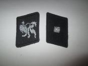 Петлицы унтершарфюрера дивизии Галиция.
