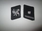 Петлицы шарфюрера дивизии Галиции.