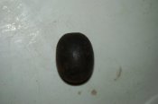 DSC_0880.jpg