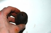 DSC_0881.jpg